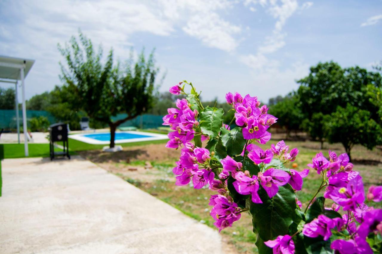 La Casa Del Carreron Villa Montilla Ngoại thất bức ảnh