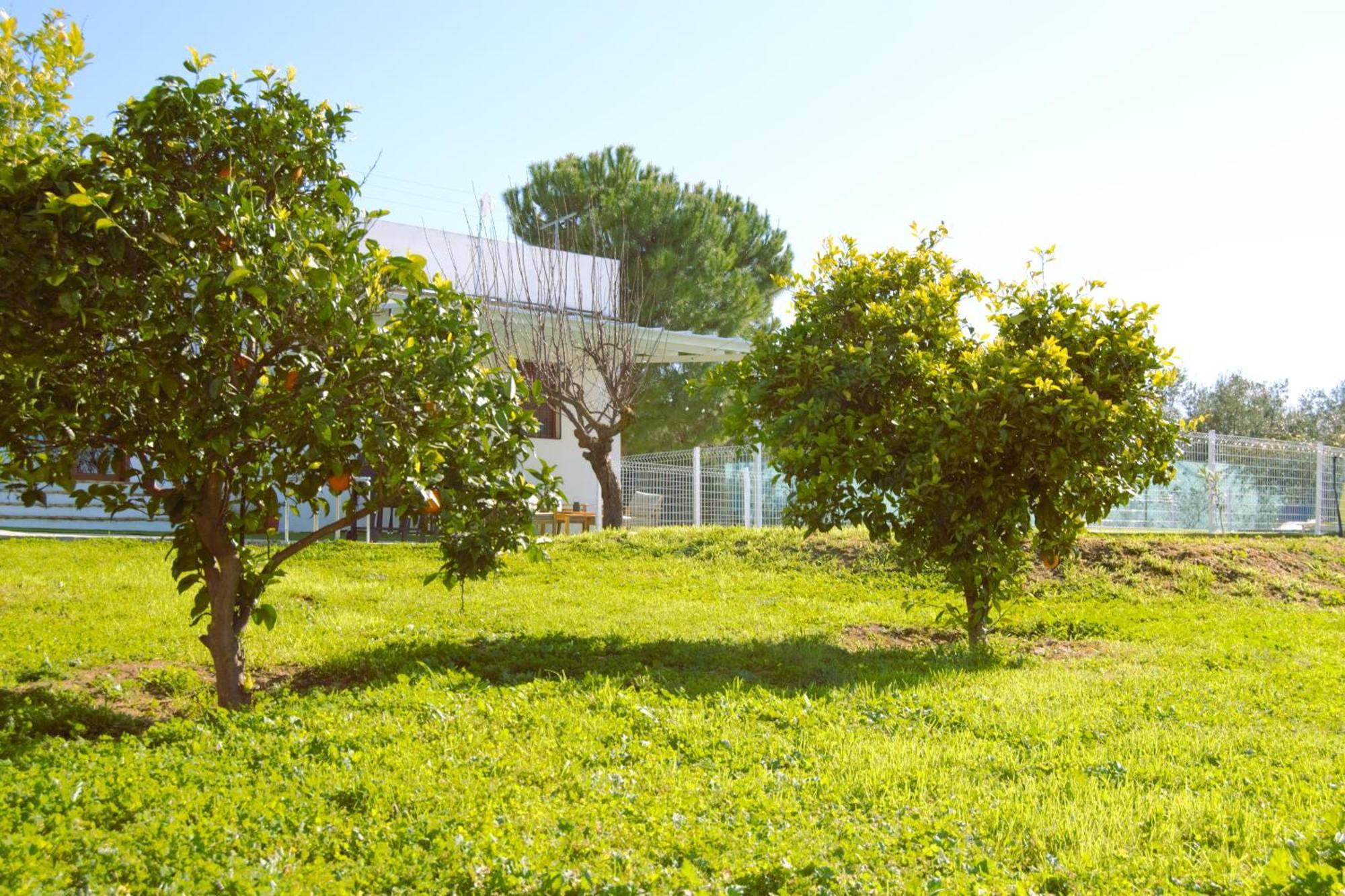 La Casa Del Carreron Villa Montilla Ngoại thất bức ảnh